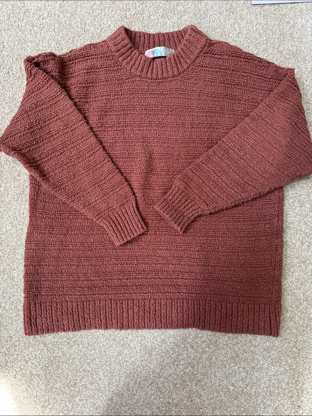 FP Beach Textured Knit Oversized Crewneck Sweater in Rust